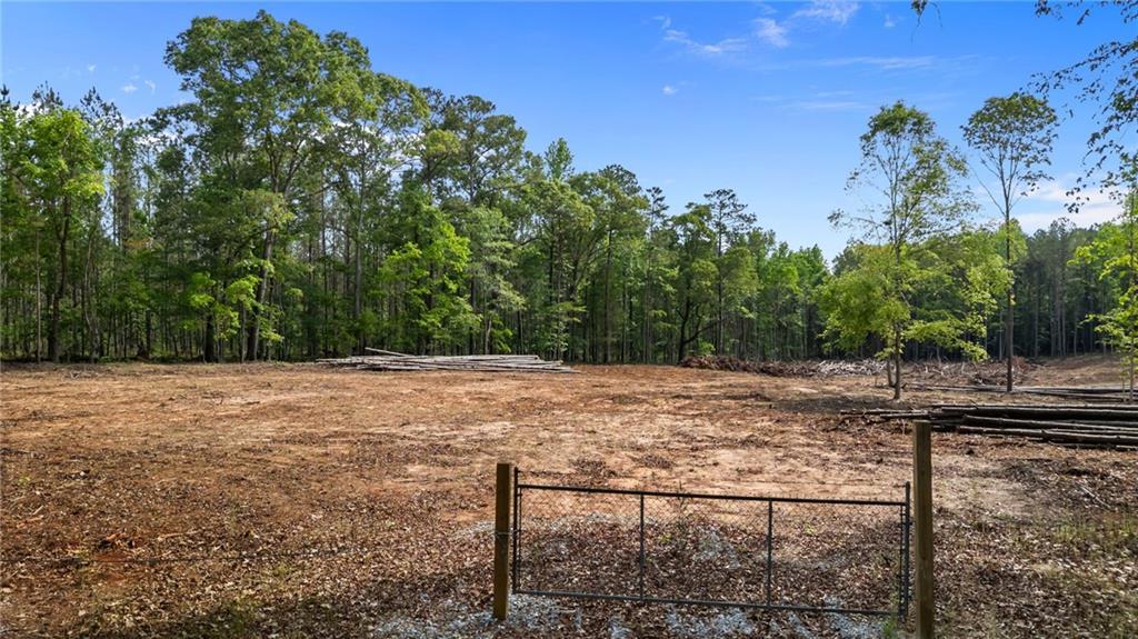13421 Highway 36, Covington, GA 30014