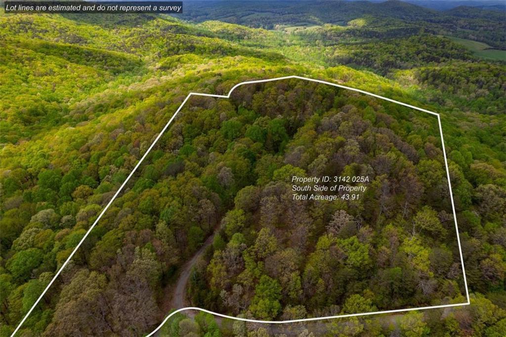 43.91 Old Burnt Mountain Rd., Ellijay, GA 30540