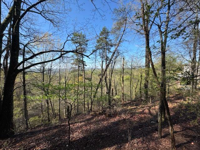 Crown Mountain Dr., Dahlonega, GA 30533