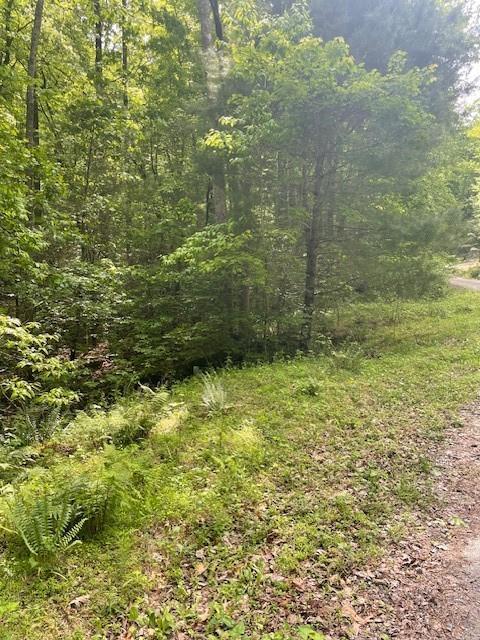 Mccormick Dr., Dawsonville, GA 30534