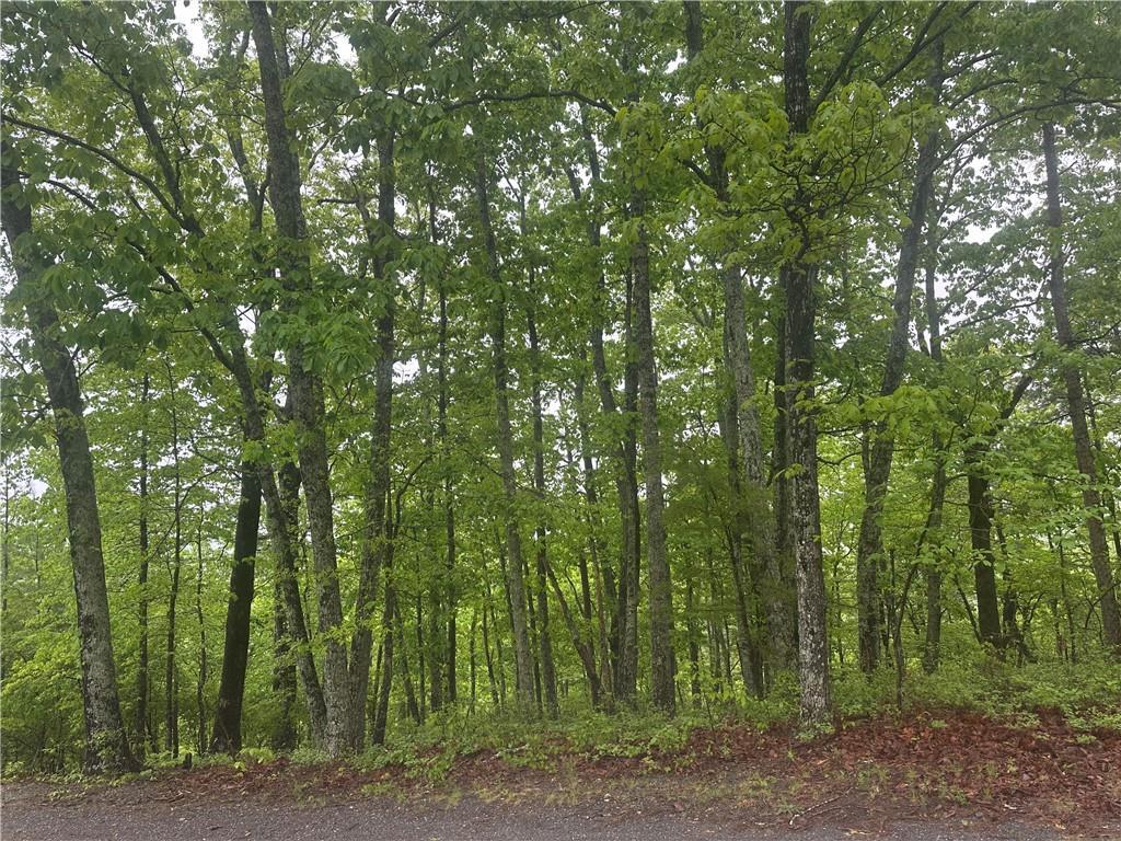1417 Foxhound Tr., Ranger, GA 30734