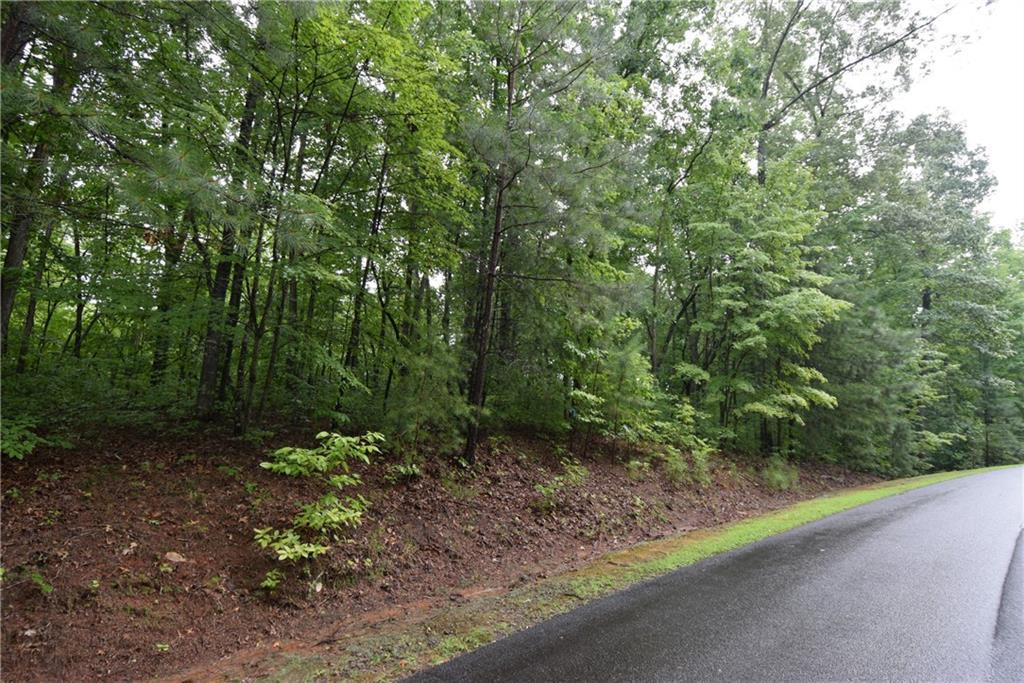 76 N Harris Creek Dr., Ellijay, GA 30540