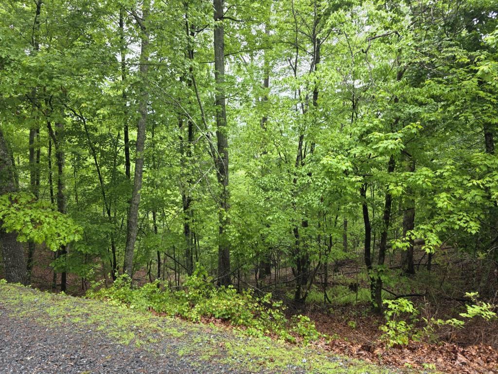 LT 937 Myna Dr., Ellijay, GA 30540