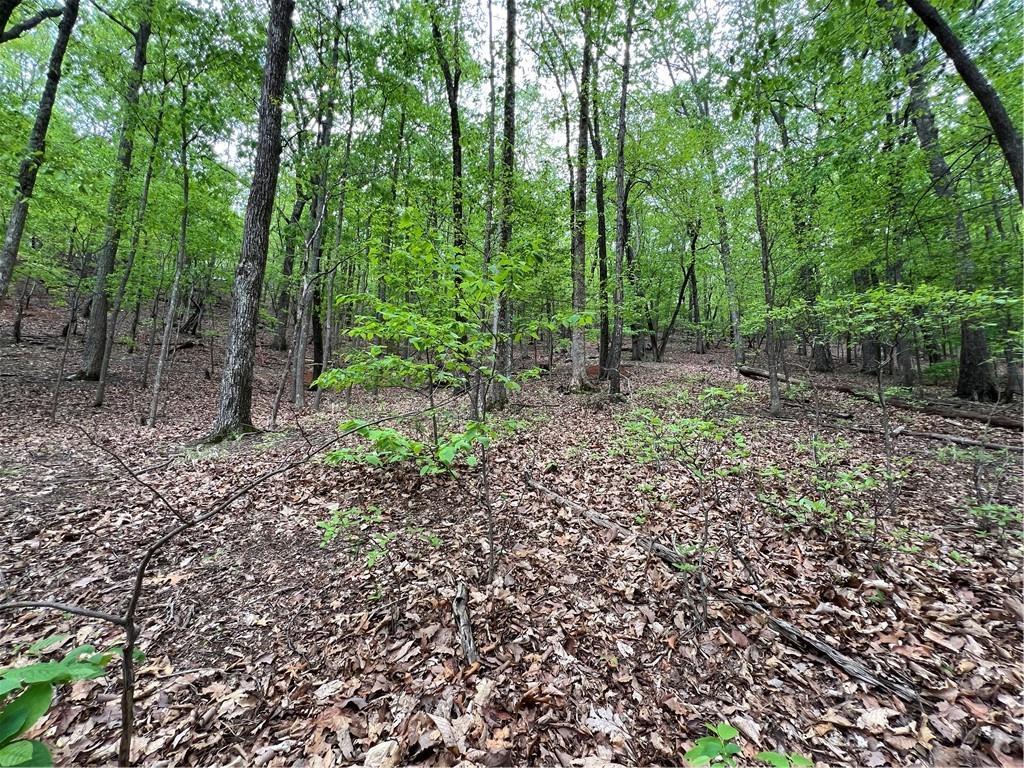 387 Windflower Dr., Big Canoe, GA 30143