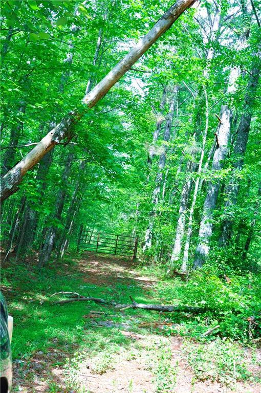 00 Coppermine Rd., Buchanan, GA 30113