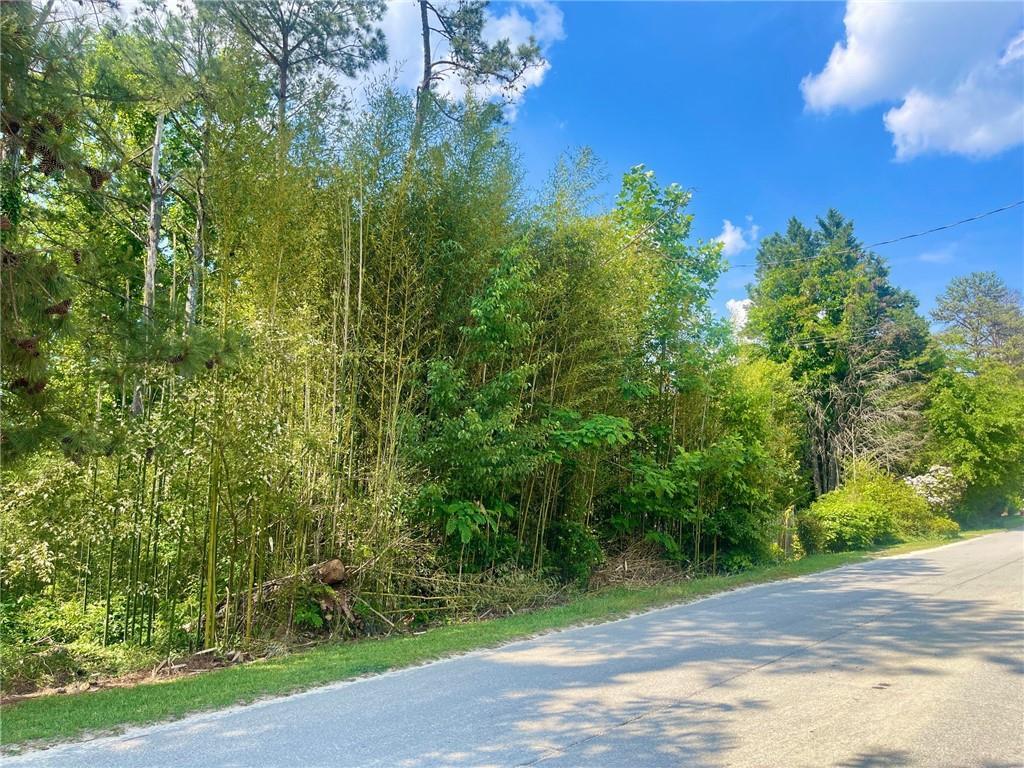 6236 Malibu Ridge, Flowery Branch, GA 30542