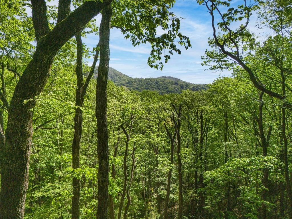 45 Amy Creek Dr., Ellijay, GA 30540