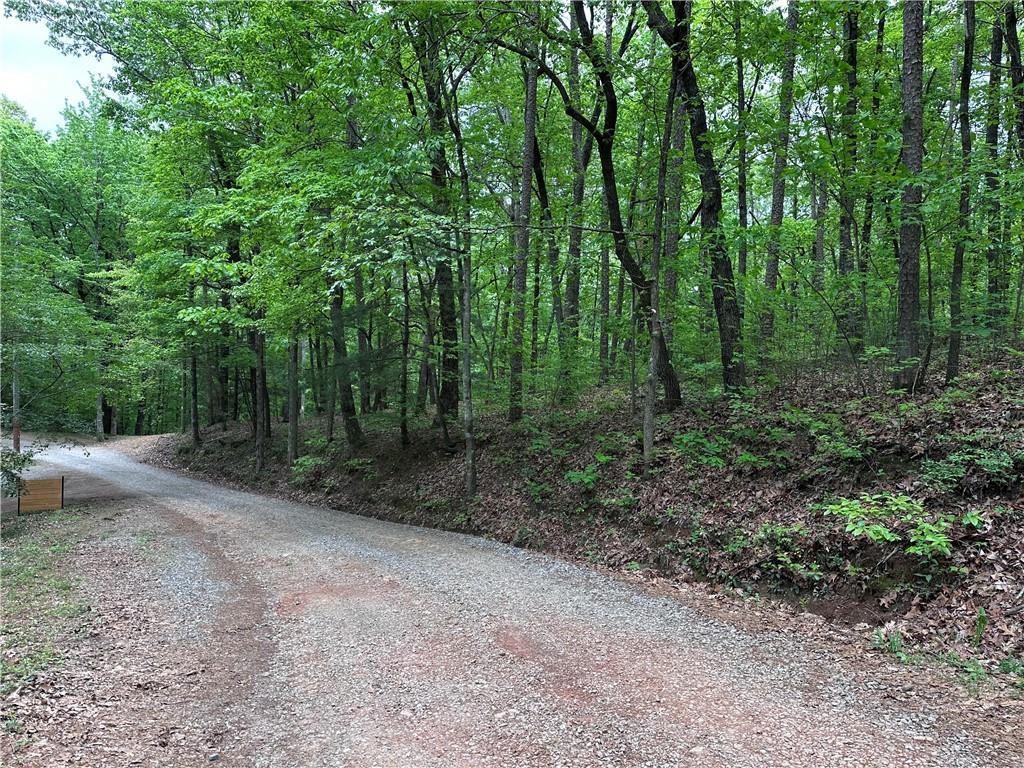 TR1TR3 Flat Branch Tr., Ellijay, GA 30540