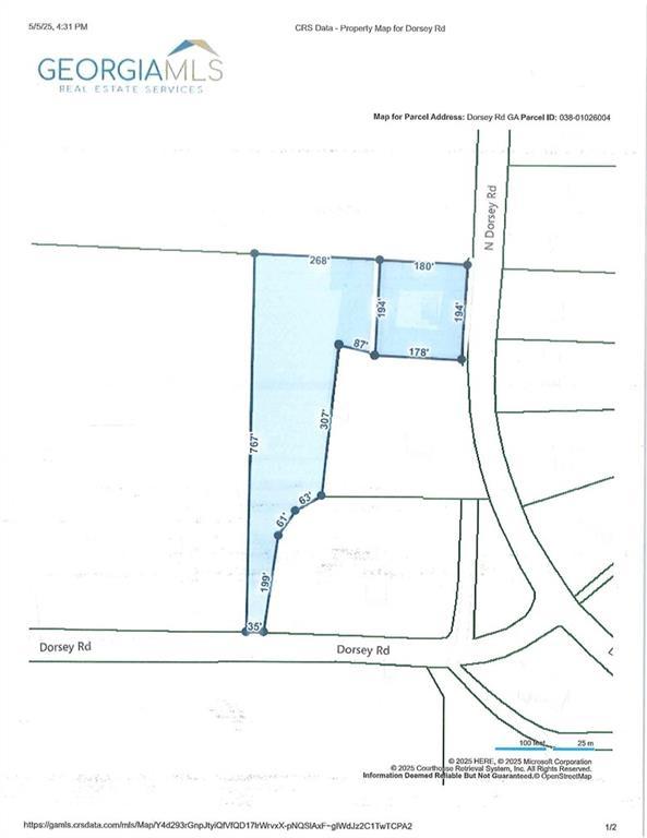 308 North Dorsey Roads, Hampton, GA 30228