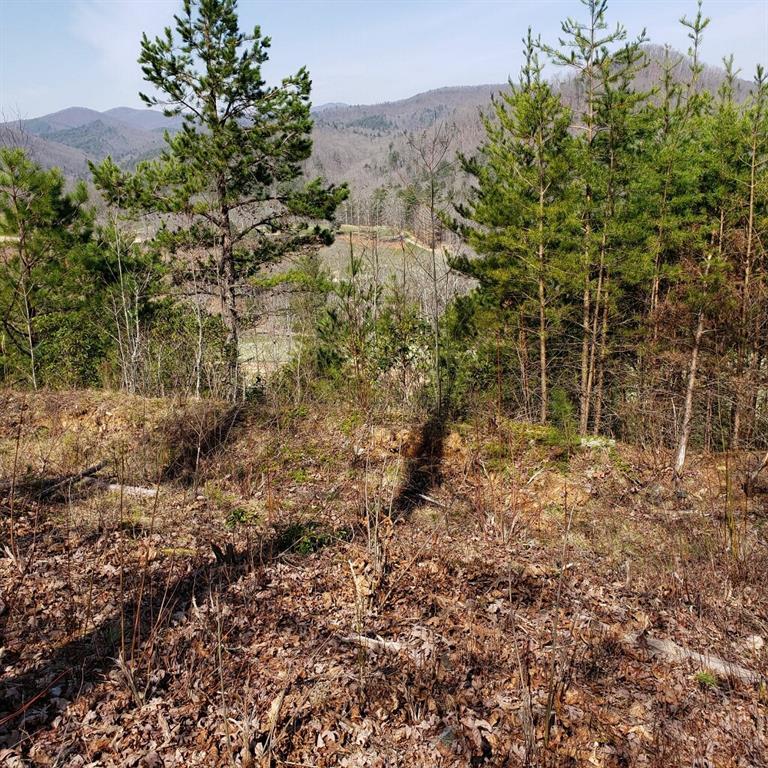 Bent Grass Way, Clayton, GA 30525