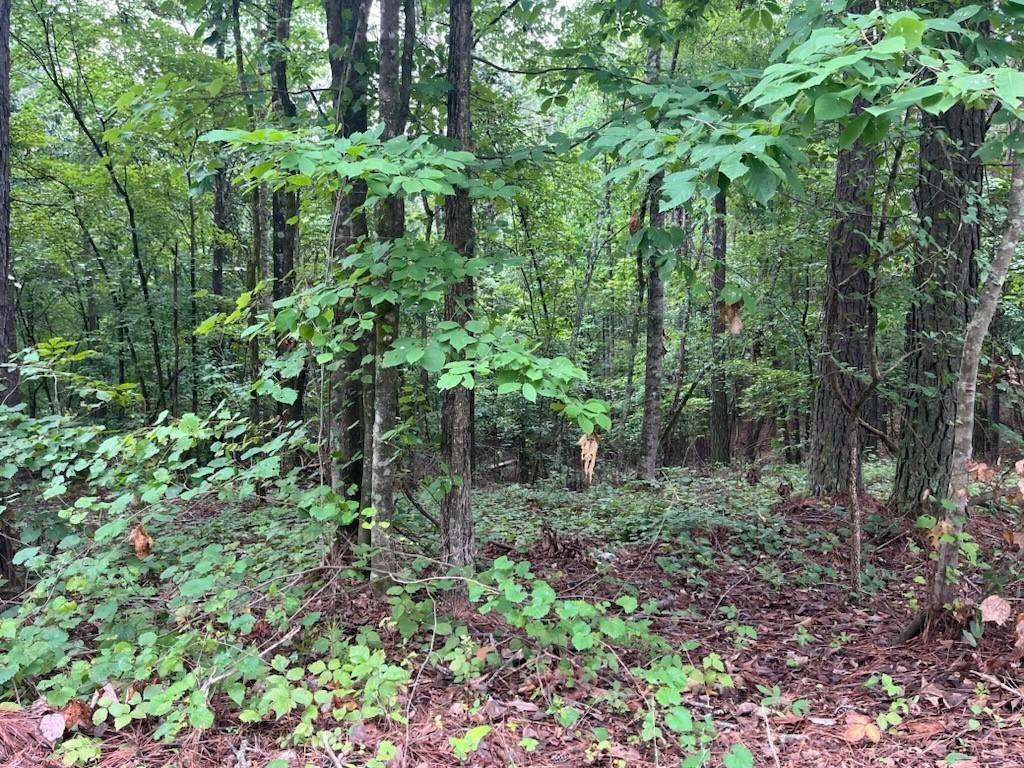 Narroway Church Spur, Dallas, GA 30132