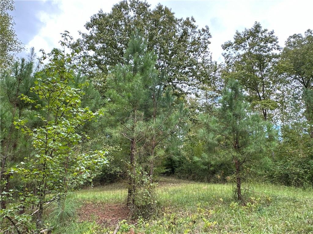 1849 Prior Station Rd., Cedartown, GA 30125