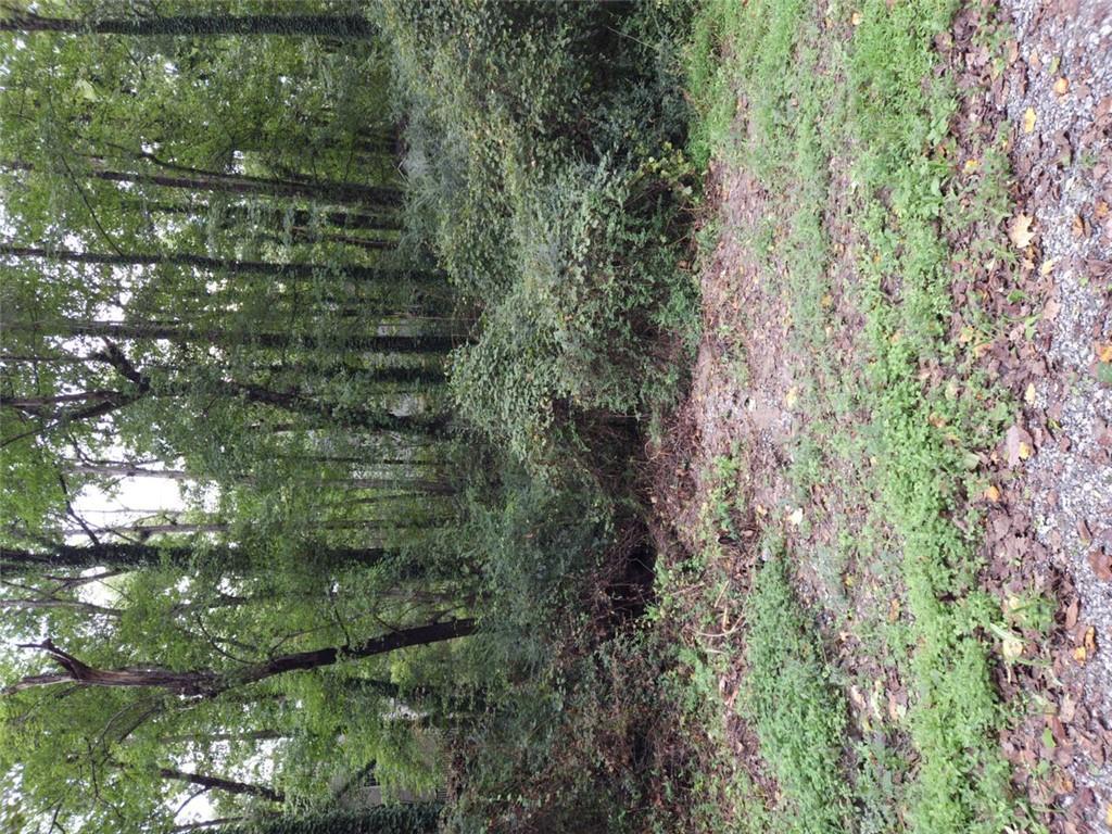 Capri Dr., Cumming, GA 30041