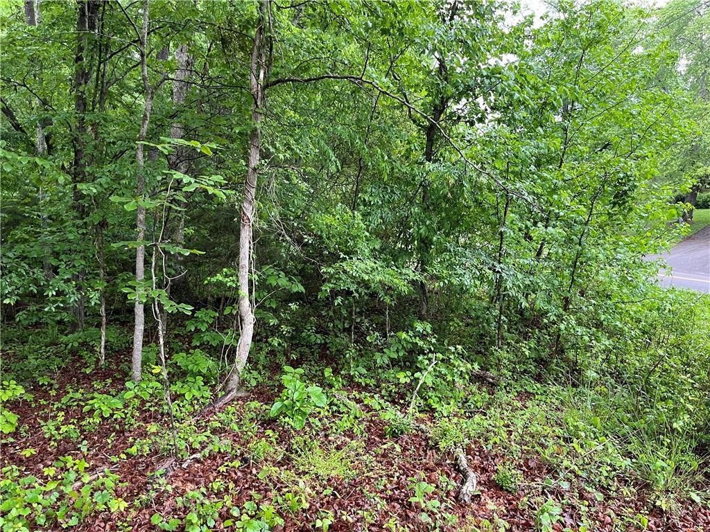 E Teems Rd., Ringgold, GA 30736