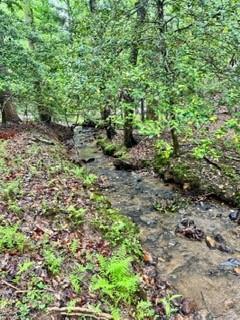 308 Creekside Tr., Ellijay, GA 30540