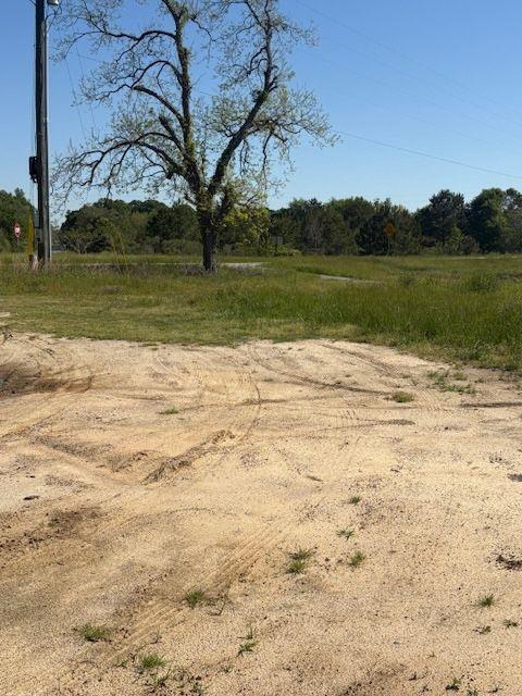 Georgia  Hwy 257, Pineview, GA 31071