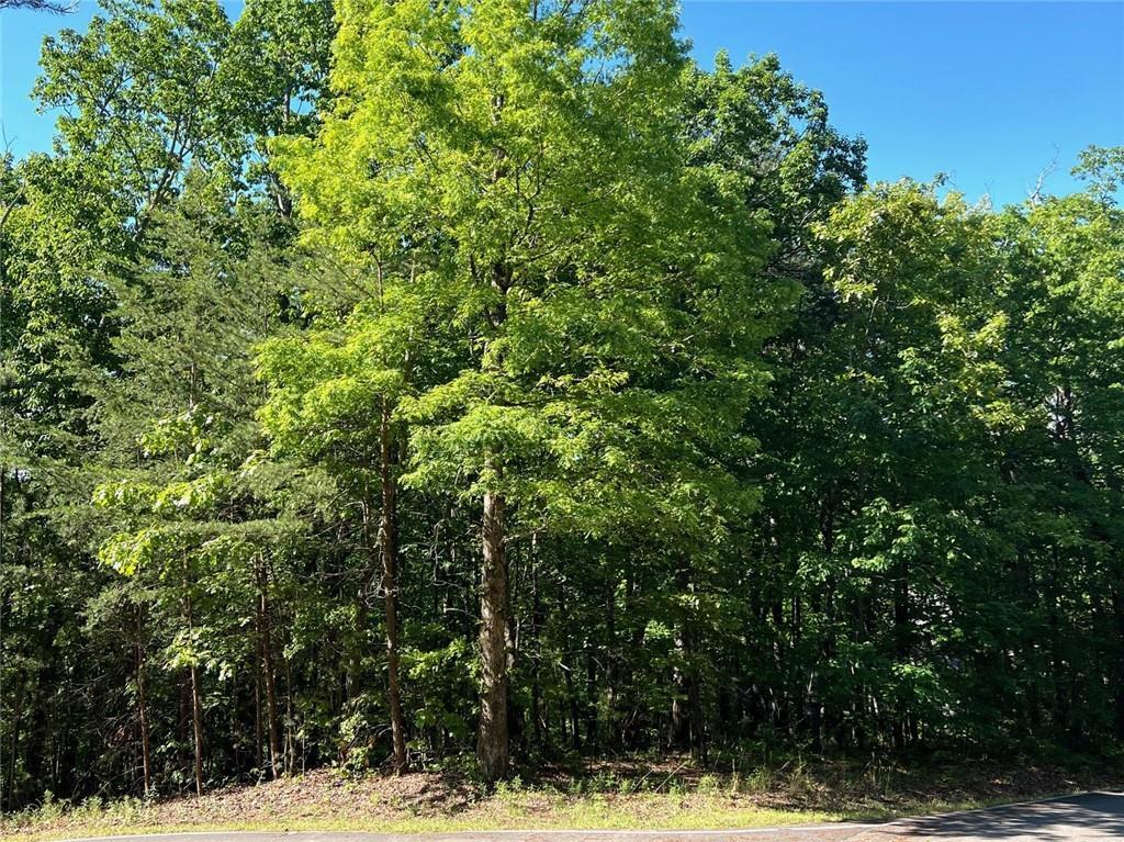 3285 Wood Poppy Dr., Jasper, GA 30143