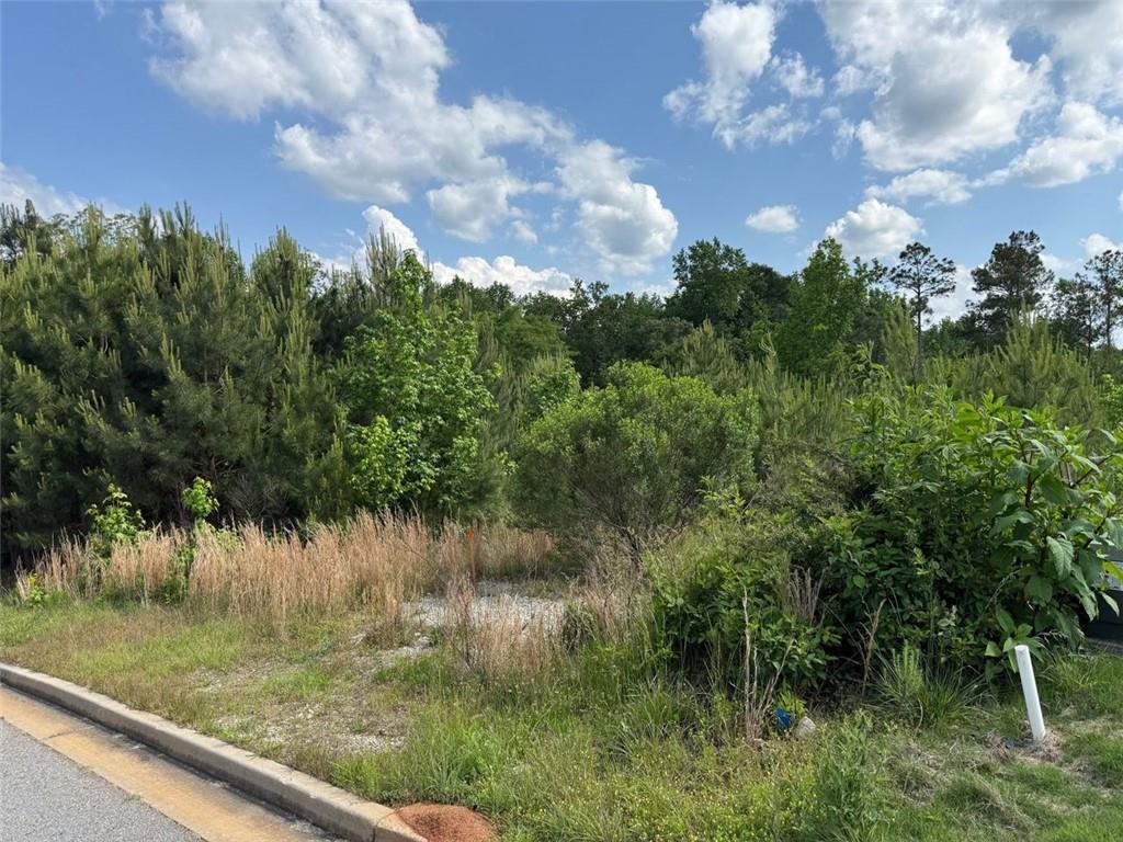 40 Arbor Springs Pkwy., Newnan, GA 30265