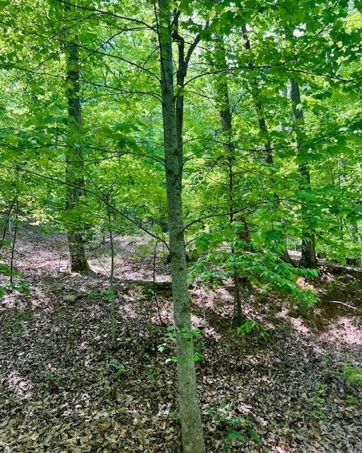 220 Yanegwa Knoll, Dawsonville, GA 30534