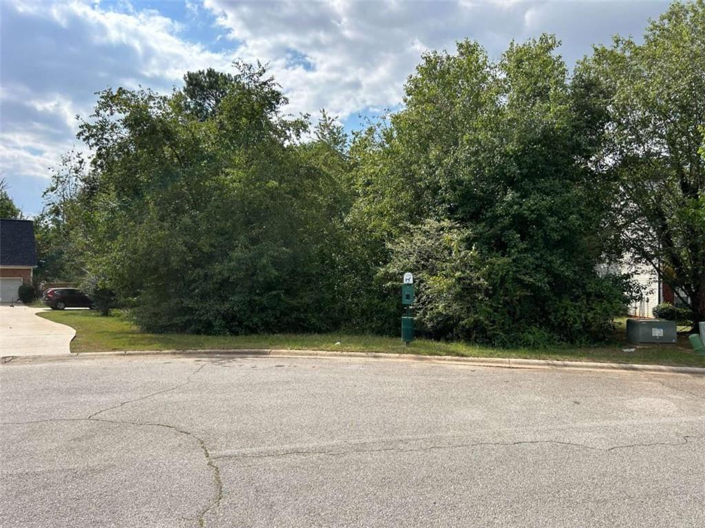 East Shoreview Rd., Mcdonough, GA 30253