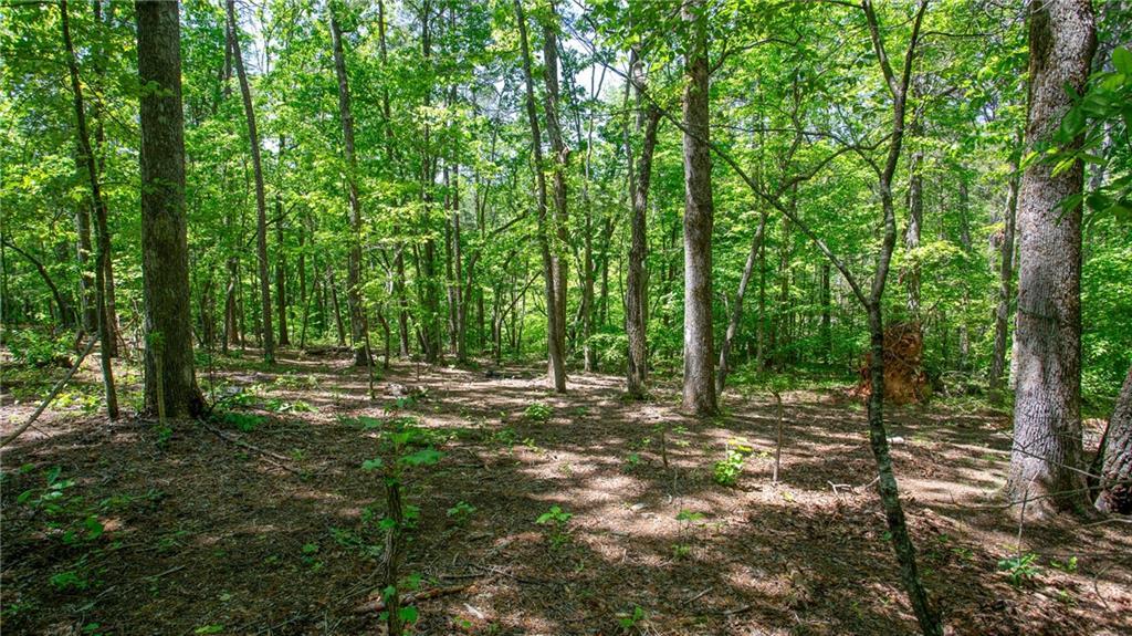 7245 Mount Tabor Rd., Cumming, GA 30028