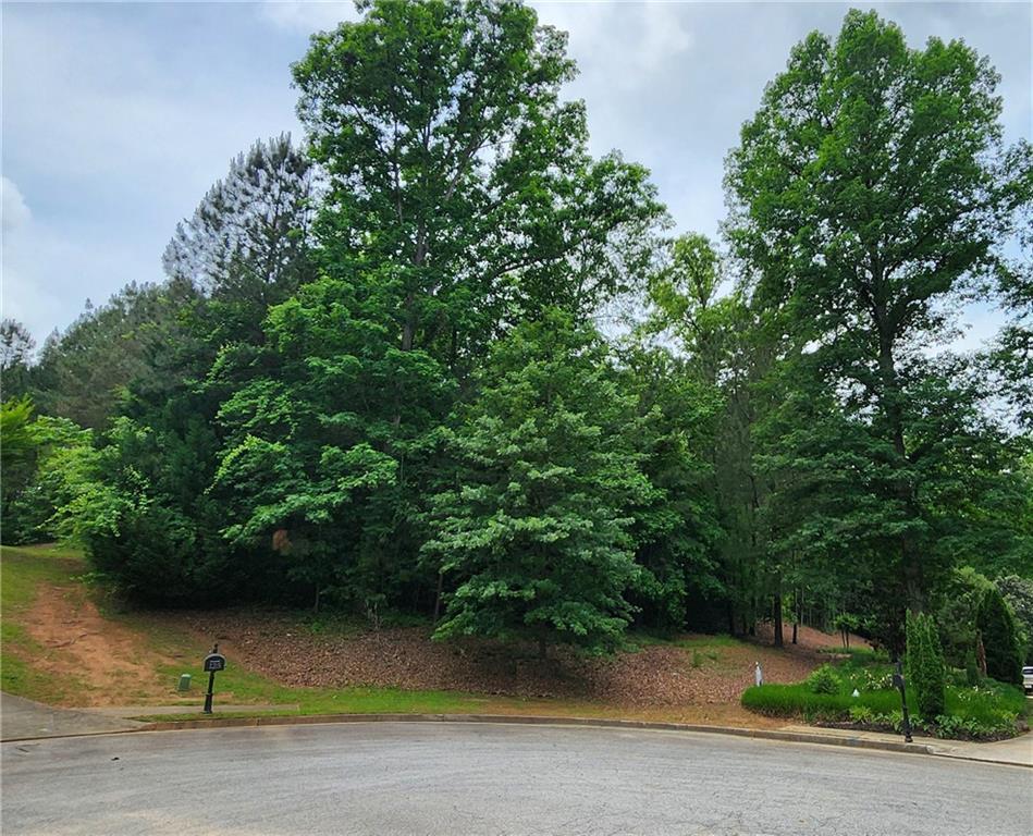 126 Big Cotton Tr., Mcdonough, GA 30252