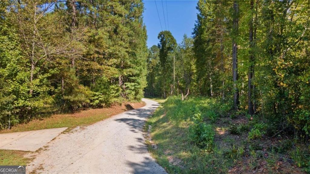 Steed Rd., Chattahoochee Hills, GA 30213