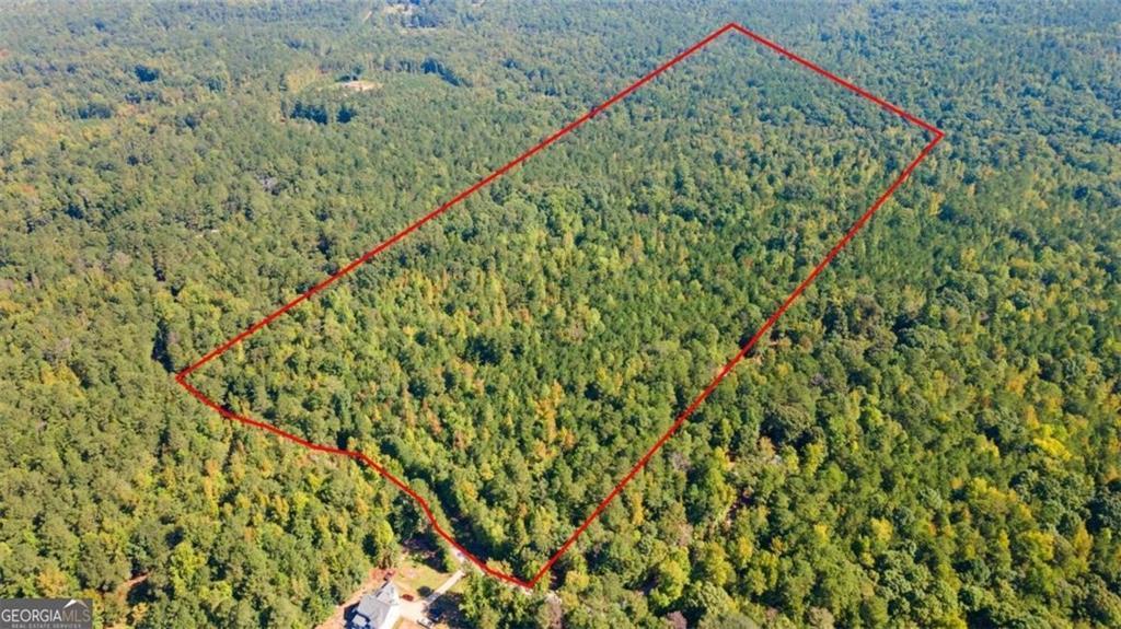 Steed, Chattahoochee Hills, GA 30213