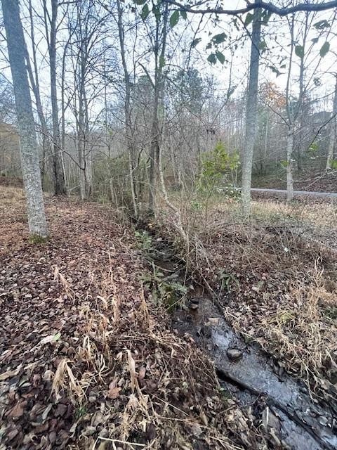 3 A Moss Cove Rd., Blairsville, GA 30512
