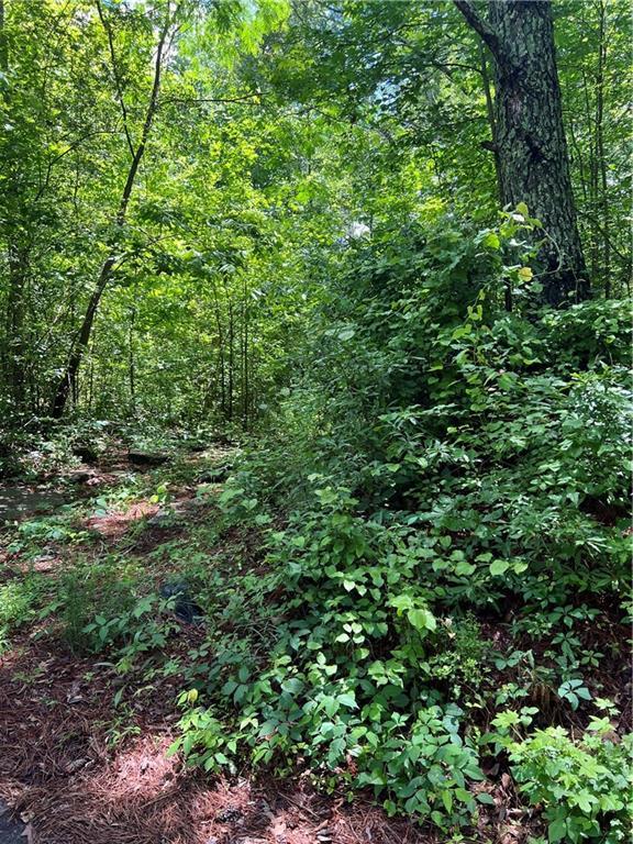 130 Old Mill Rd., Hiram, GA 30141