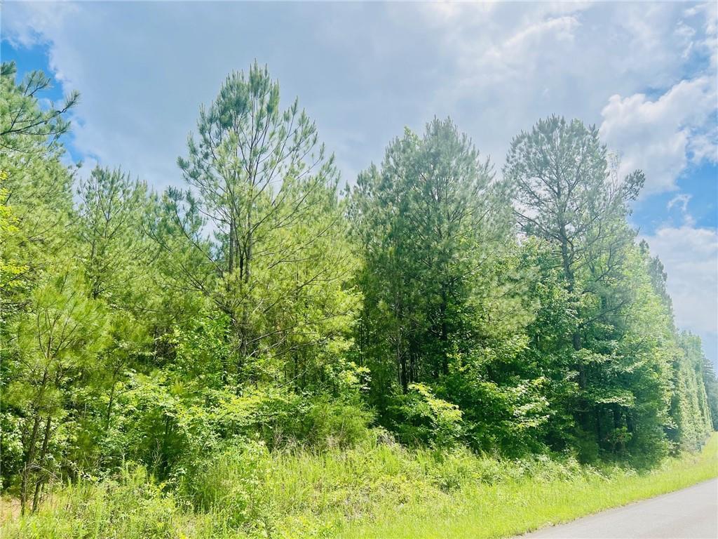 Tract4 Law Rd., Cartersville, GA 30120
