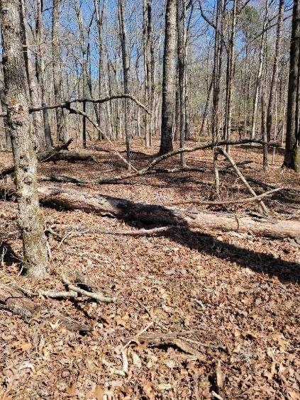5065 Cagle Mill Rd., Lula, GA 30554