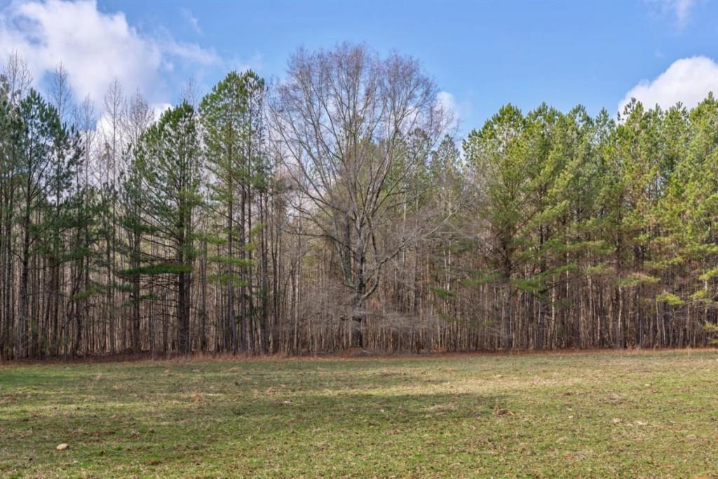 Double Bridges Rd., Madison, GA 30650