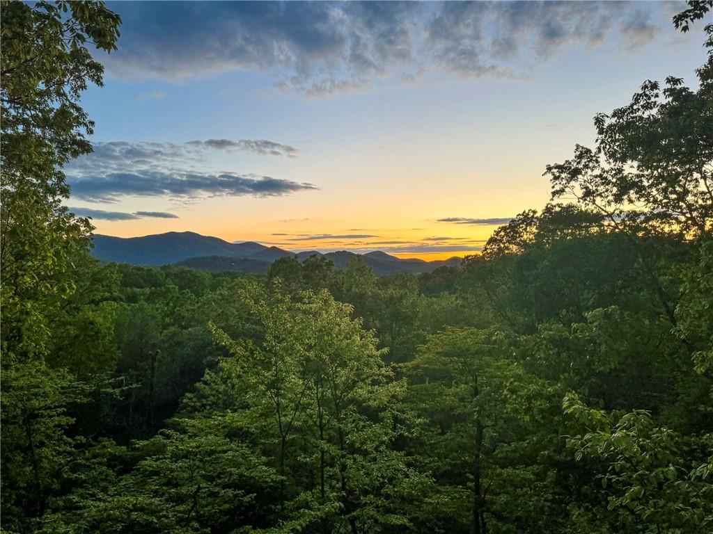 127 Berry Reister Rd., Blairsville, GA 30512