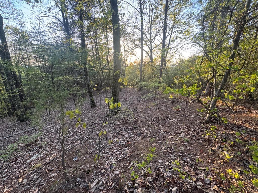 710 Railey Ridge, Ranger, GA 30734