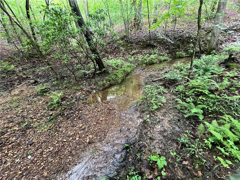 395 Able Rd., Waleska, GA 30183