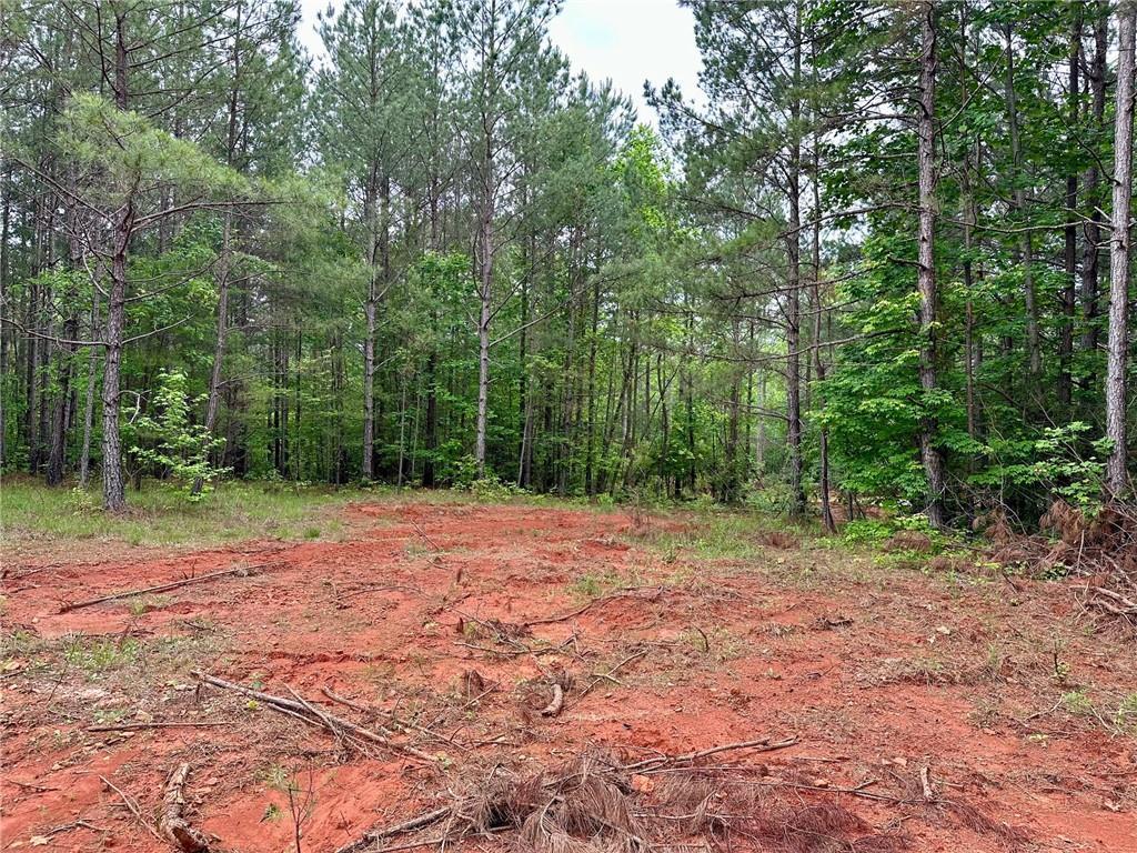 5.3-/+ Patriot Tr., Dahlonega, GA 30533