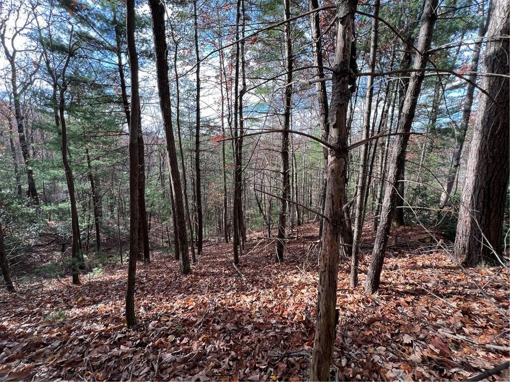 J-273 Pine Ridge Rd., Ellijay, GA 30536