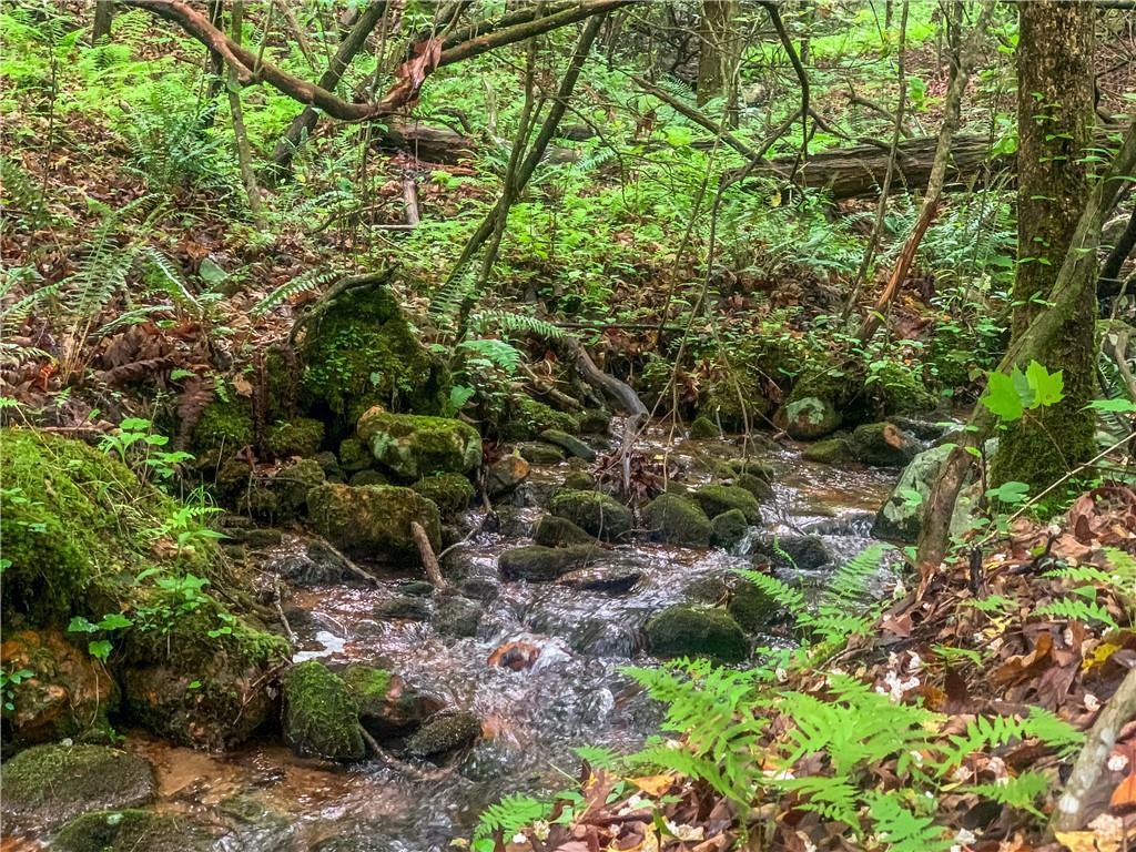 LOT 29 Mountain Spirit Way, Ellijay, GA 30536