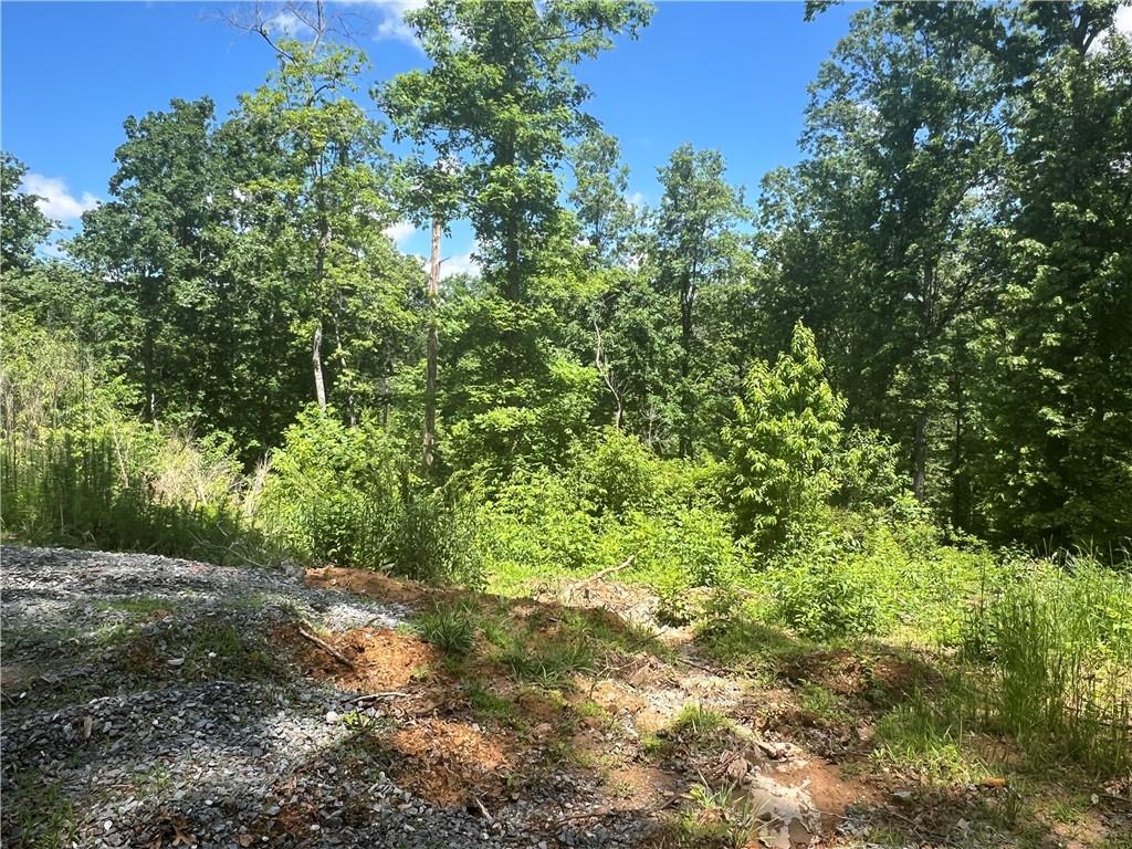 75 Hope Ct., Ellijay, GA 30540