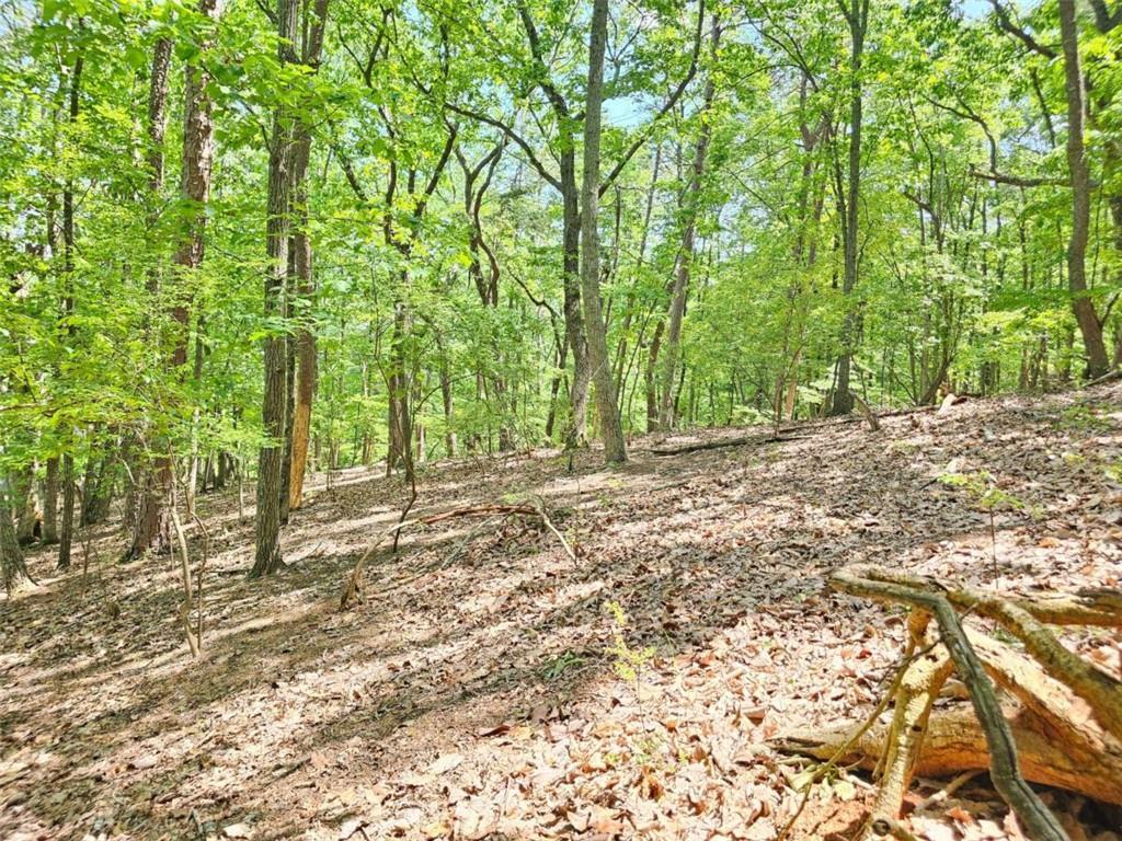 Turnbury Ln., Jasper, GA 30143