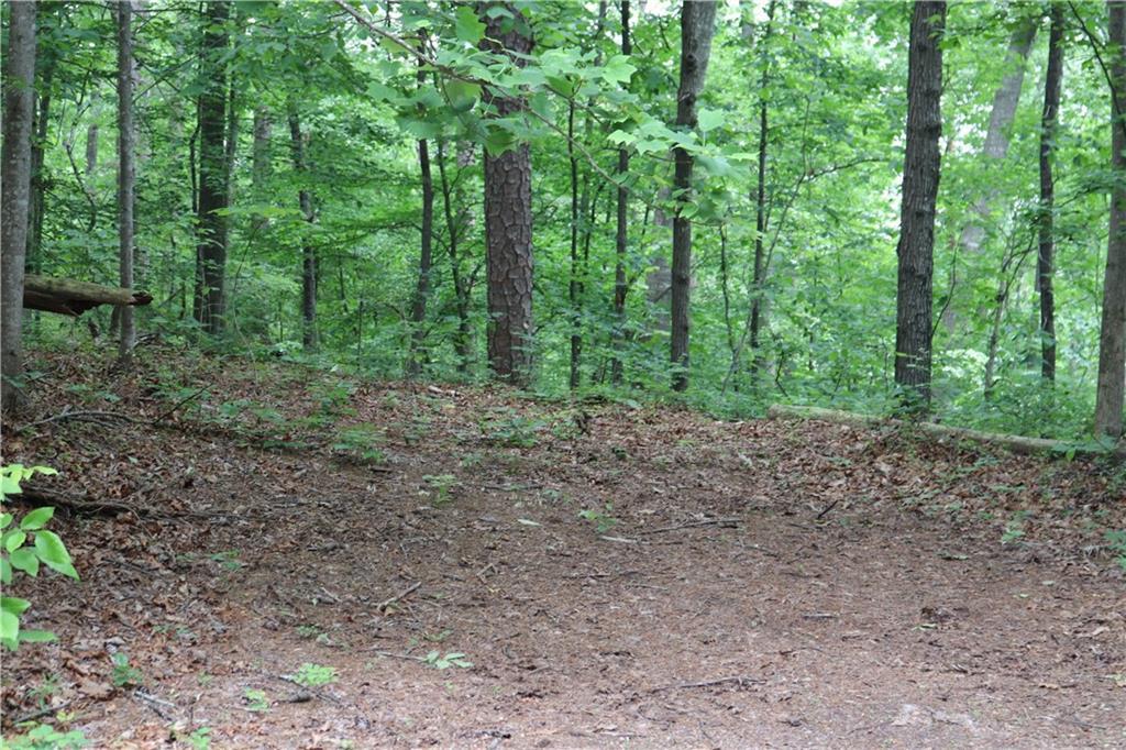 49 Lake Top Dr., Cartersville, GA 30121