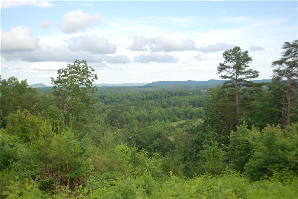 1558 Jamestown Rd., Menlo, GA 30731