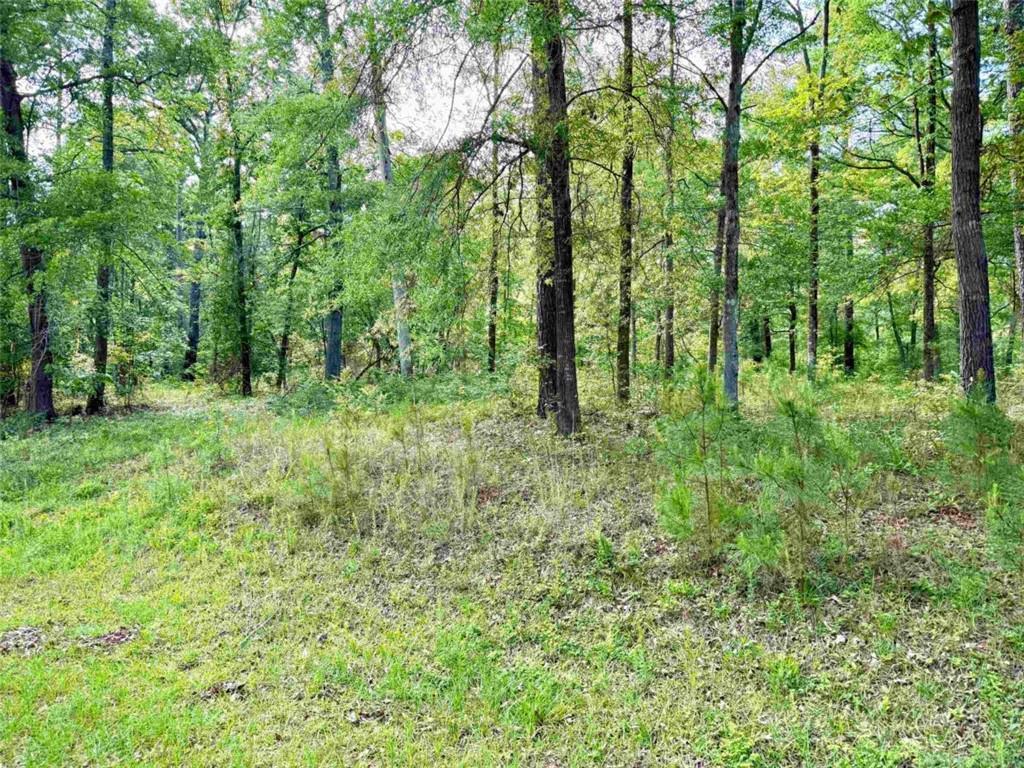 Possum Point Dr., Eatonton, GA 31024