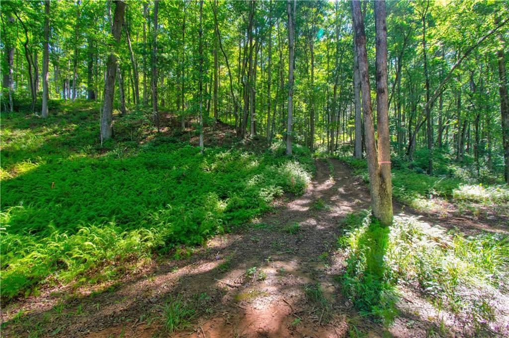 600 Grand Oak Ln., Dahlonega, GA 30533