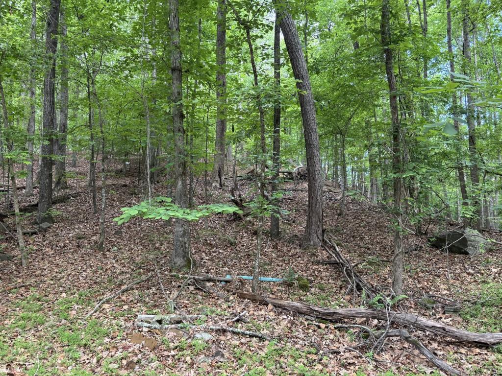 Harrison Dr., Lithia Springs, GA 30122