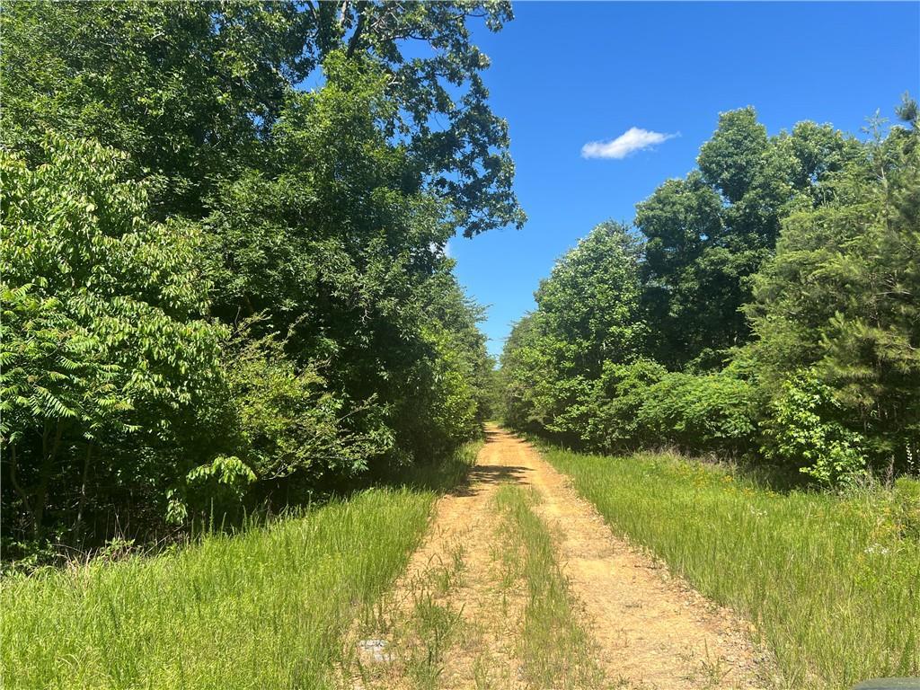 Cherokee Hills Rd., Rydal, GA 30171