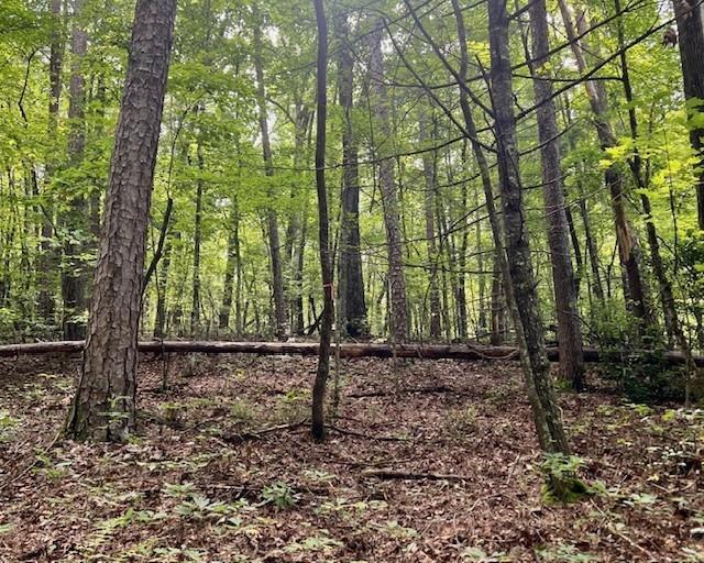 Mountain View Ln., Mccaysville, GA 30555