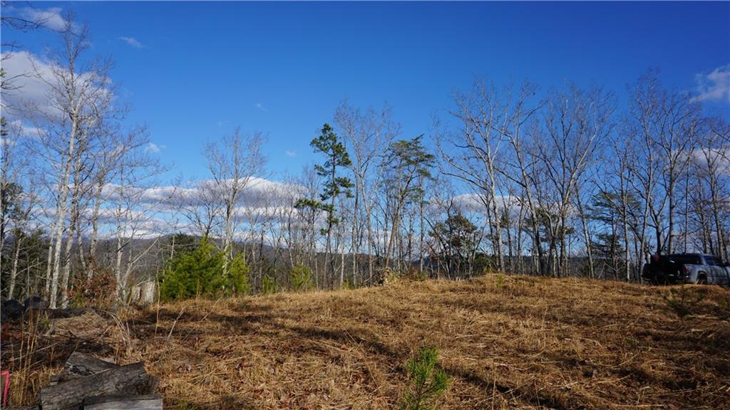 Muscadine Ln., Chatsworth, GA 30705