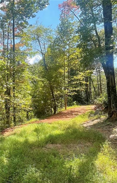 Chimney Mountain Rd., Sautee Nacoochee, GA 30571
